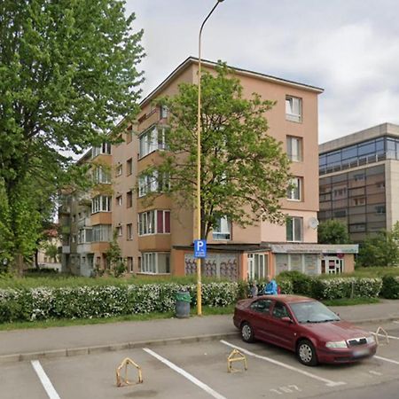 Lillia House Apartment Brasov Ngoại thất bức ảnh